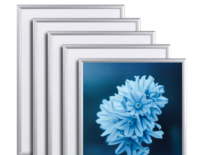 Snap Frames