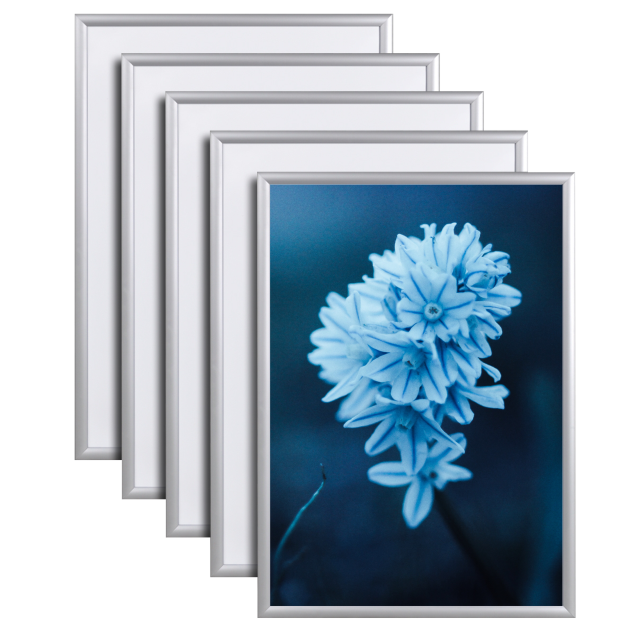 clip frames